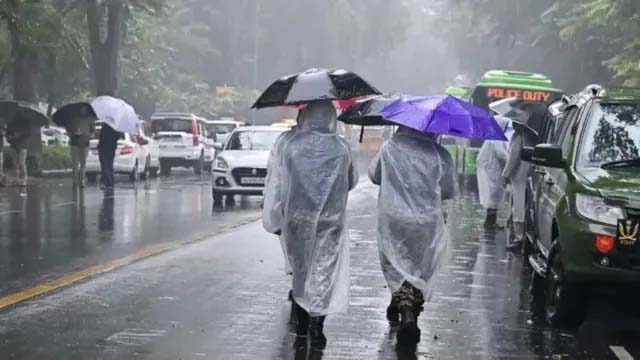 Rains