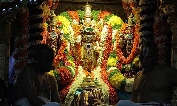 TTD:స్వర్ణరథంపై కల్యాణ వేంకటేశ్వరుడు