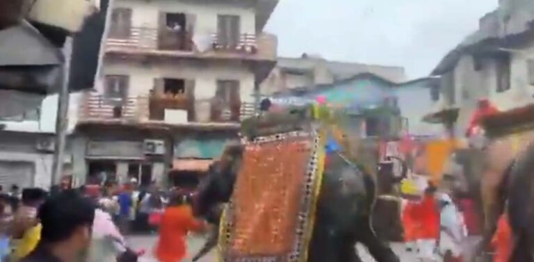 జగన్నాథ రథయాత్రలో అపశృతి