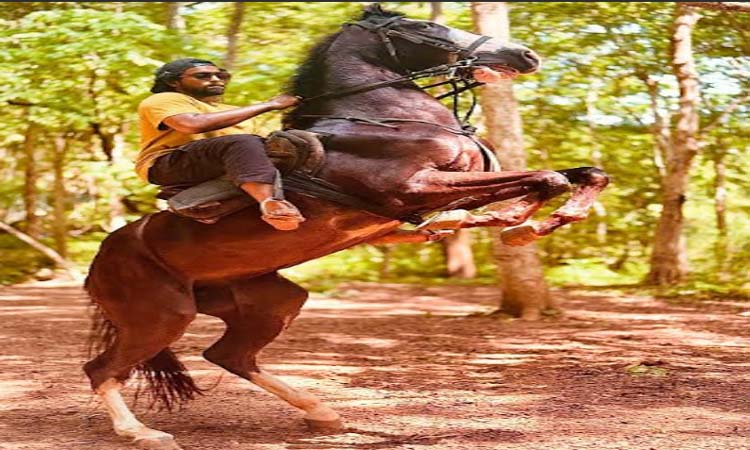 రోషన్ కనకాల…’మోగ్లీ 2025′ క్లైమాక్స్ షెడ్యూల్‌ పూర్తి