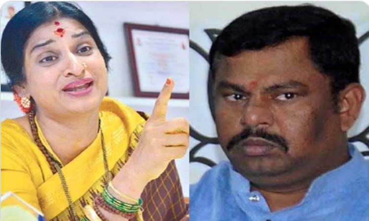 రాజాసింగ్‌పై మాధవిలత ఫైర్