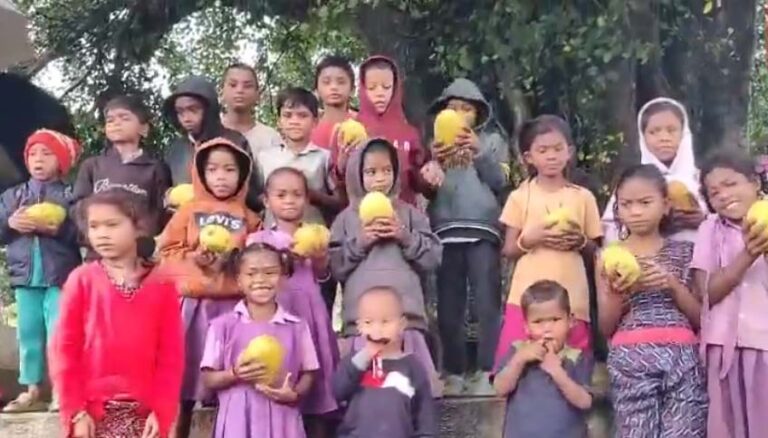 గిరిజనులకు పవన్ గిఫ్ట్