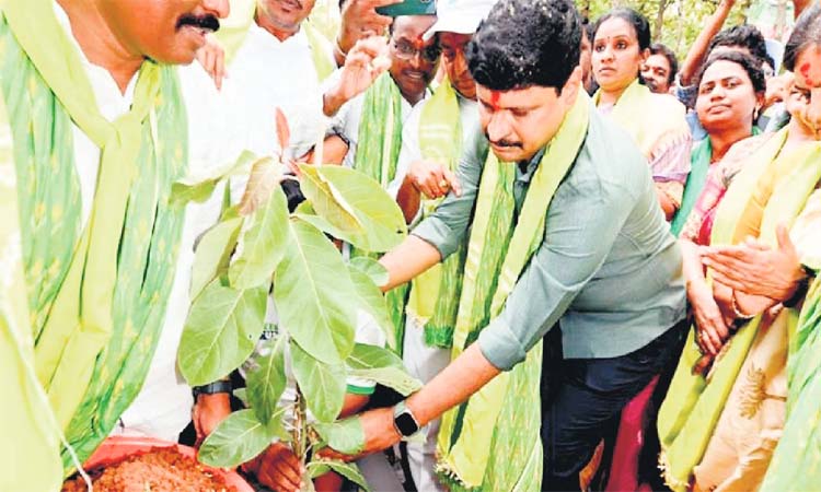 మొక్కలను నాటాలని ప్రతిజ్ఞ చేద్దాం:సంతోష్ కుమార్