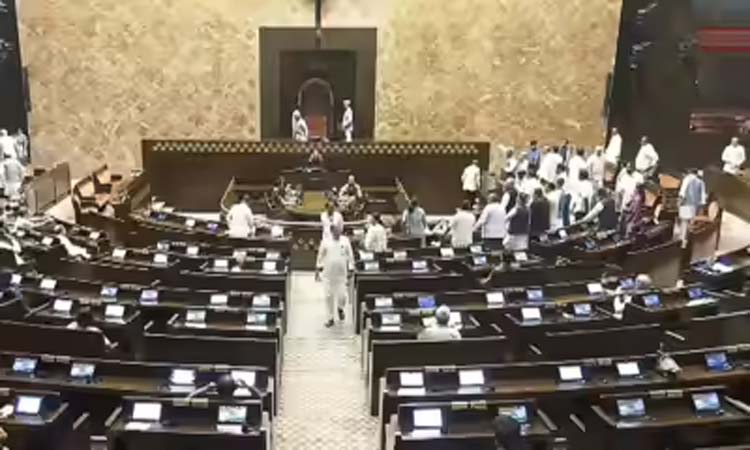 ఉపరాష్ట్రపతి ఎన్నిక..బుక్‌లెట్