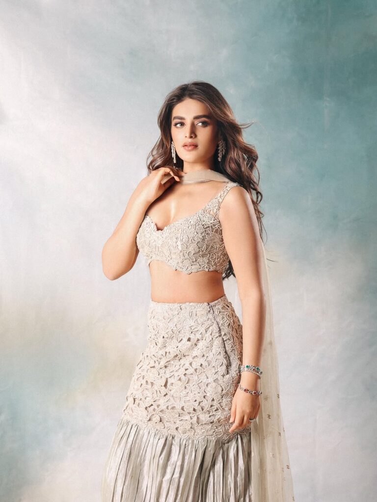 Nidhi Agarwal Latest Pictures