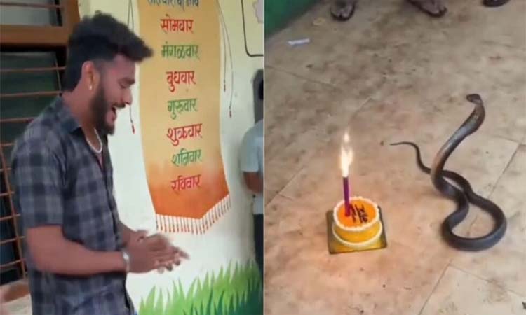 పాము బర్త్ డే..యువకుడి అరెస్ట్