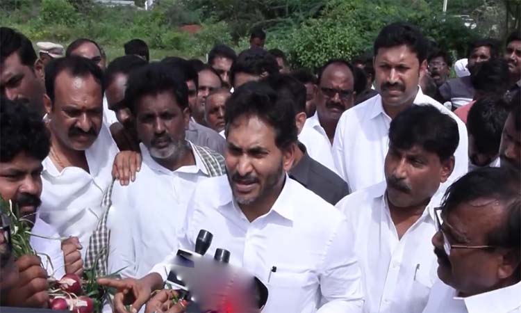 గిట్టుబాటు ధర లేక అవస్థలు:జగన్