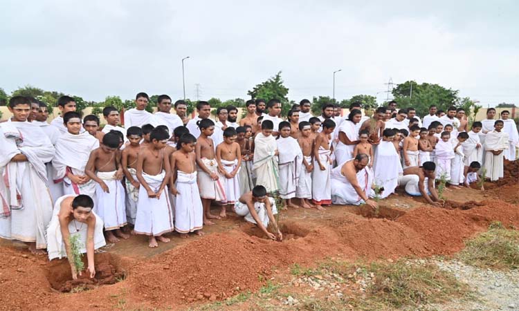 ఊరు ఊరికో జమ్మి చెట్టు..గుడి గుడికో జమ్మి చెట్టు