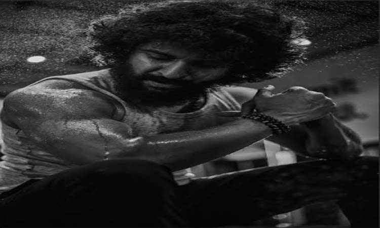 వెండితెరపై నాని@ 17