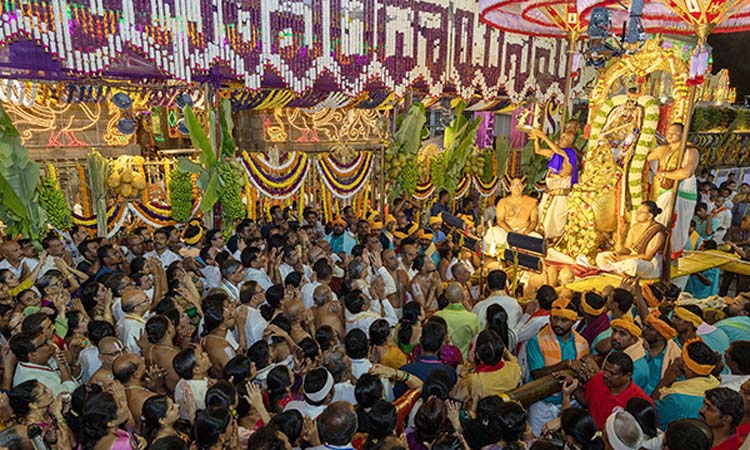 TTD: హంస వాహనంపై శ్రీ‌నివాసుడు