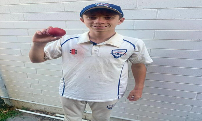 Cricket