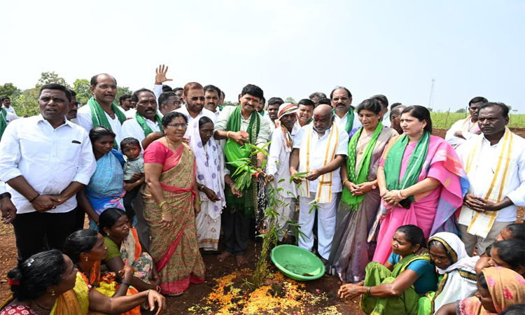 గ్రీన్ ఇండియా ఛాలెంజ్..విప్లవాత్మక అడుగు