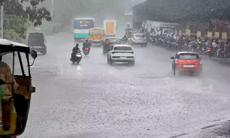 AP:భారీ వర్షాలు..స్కూళ్లకు సెలవు