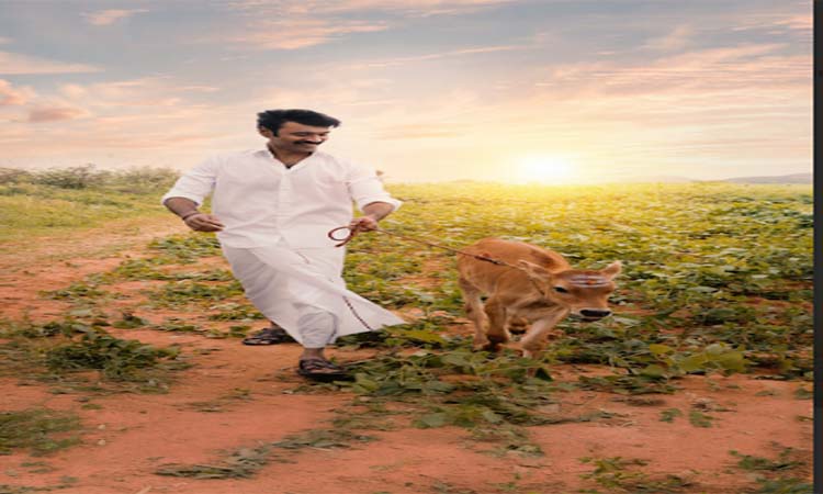 ధనుష్‌..’ఇడ్లీ కొట్టు’ క్లీన్ ఎంటర్‌టైనర్‌