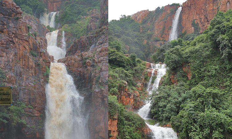 TTD: జలాశయాలకు జలకళ