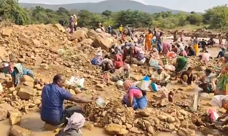 నల్లమల్ల అడవుల్లో వజ్రాల వేట