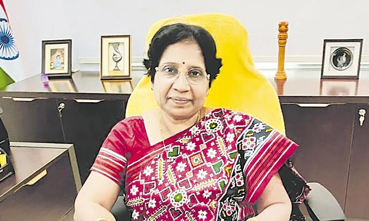 మూడు దశల్లో గ్రామపంచాయతీ ఎన్నికలు