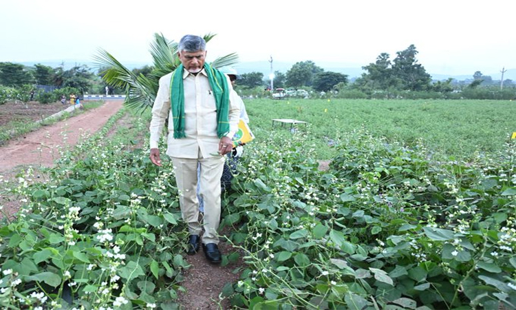 AP:పంచ సూత్రాలతో మీకోసం రైతన్నా