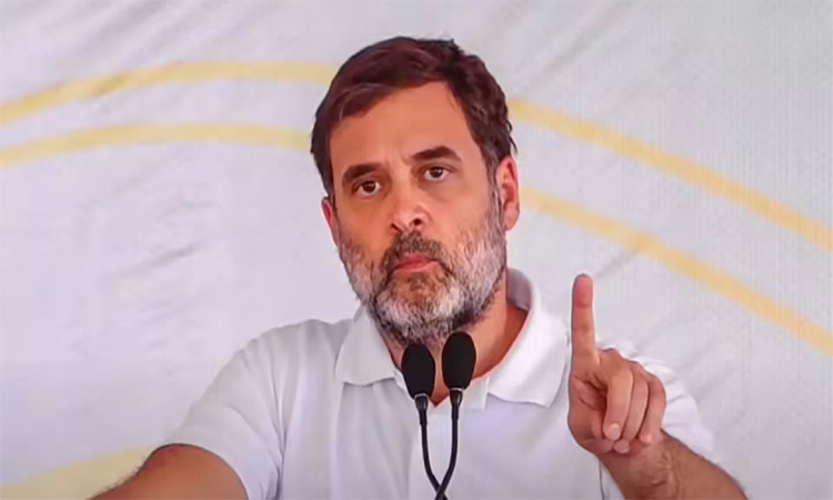 Rahul:ప్రజాస్వామ్య వ్యవస్థపై బీజేపీ దాడి