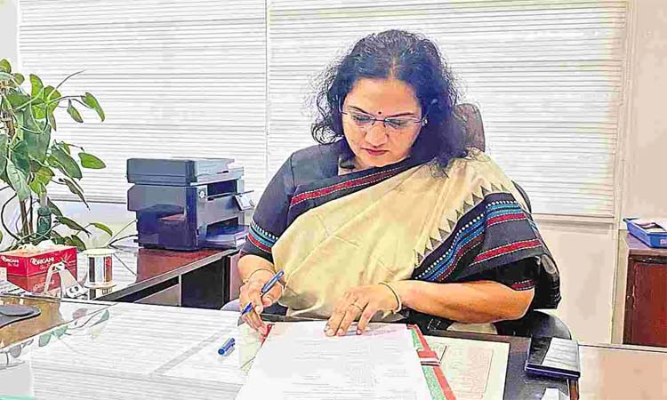 సక్సెస్ ఫుల్‌గా పంచాయతీ ఎన్నికలు