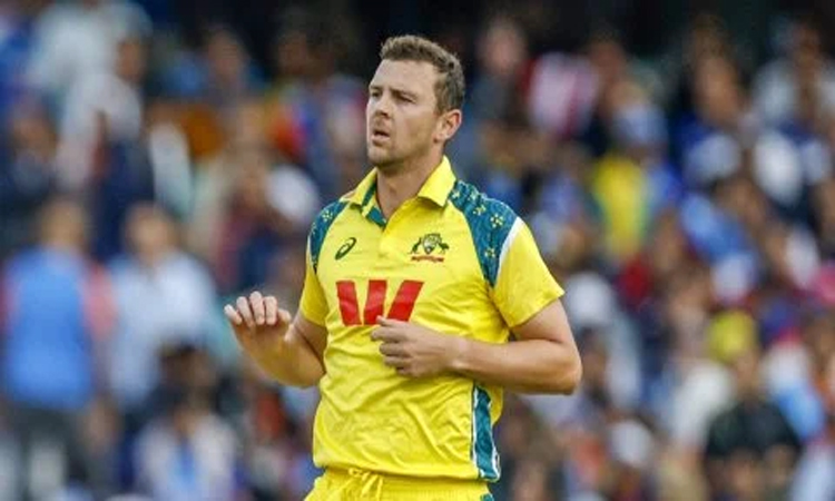 హాజల్ వుడ్ రాక ఆలస్యం..షాన్ అబాట్‌కు అవకాశం!