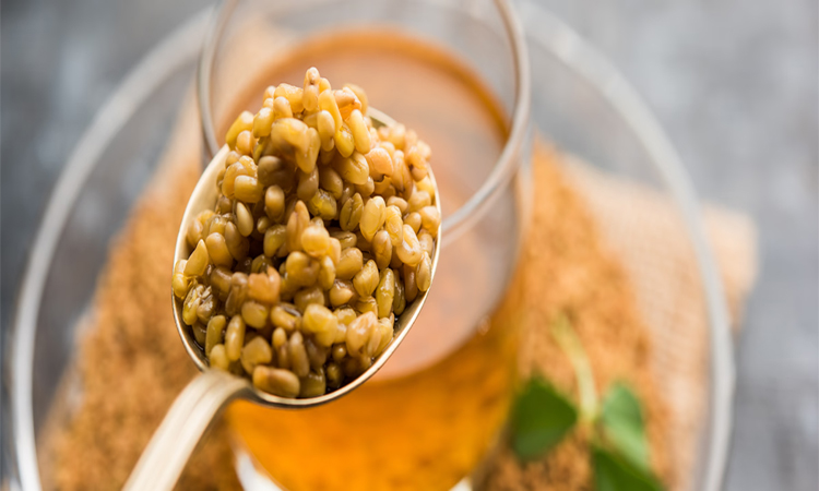 మెంతులతో పురుషుల్లో సంతానోత్పత్తి!