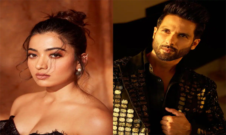 Bollywood:మళ్లీ షాహిద్‌తో రష్మిక!