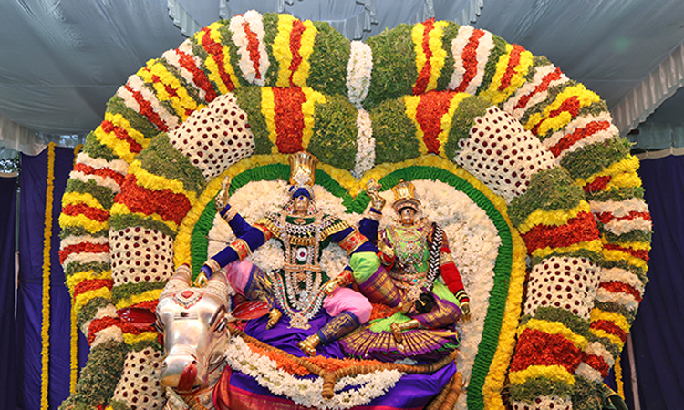 TTD:కపిలేశ్వరస్వామి బ్రహ్మోత్సవాలు