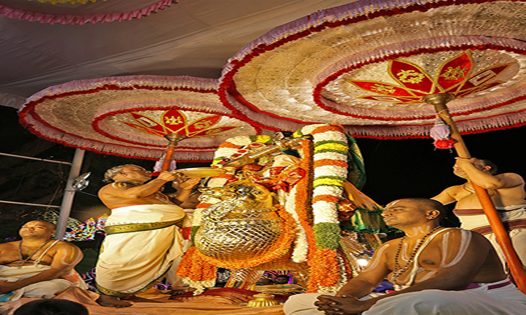 TTD:హంస వాహనంపై శ్రీనివాసుడు