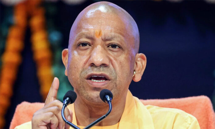 Yogi