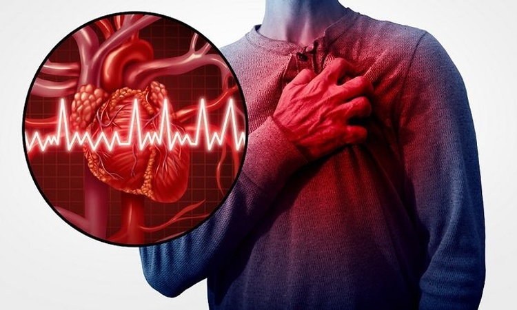 మీ గుండె ఆరోగ్యంగా పనిచేస్తోందా?