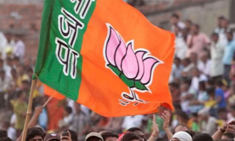 టీఎంసీ కంచుకోటల్లోకి బీజేపీ పాగా!