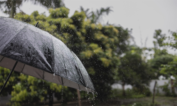 IMD:కేరళకు ముందే రుతుపవనాలు!