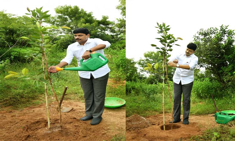GIC:తెలంగాణ క్రికెట్‌లో కొత్త అధ్యాయం