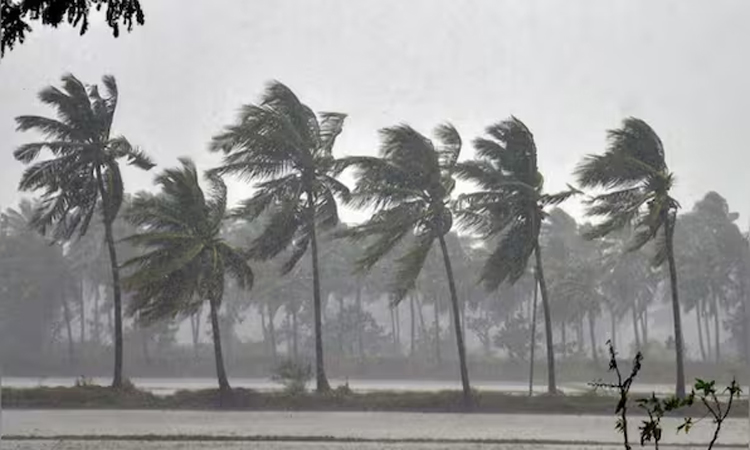 IMD:నైరుతి రాక అప్పుడే!