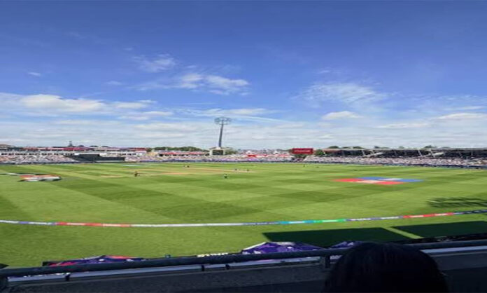 Grounds