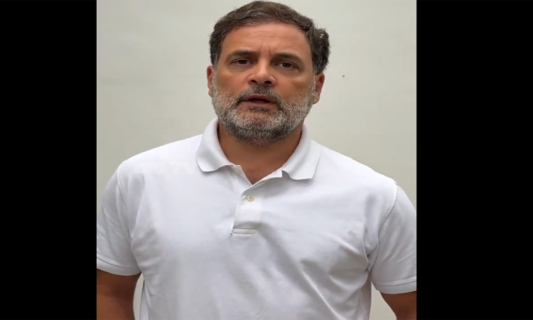 సీజేపీ నిరసనలపై రాహుల్ గాంధీ