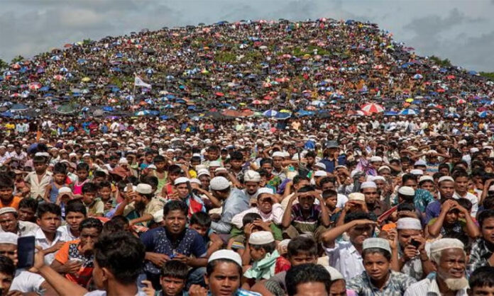Rohingya