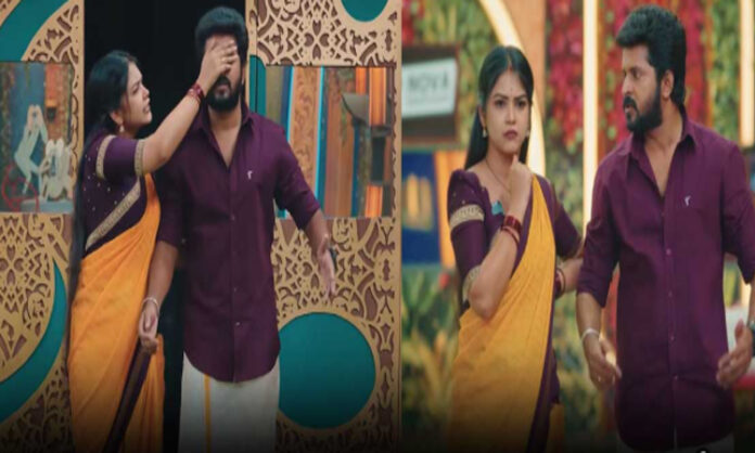BB10 Telugu