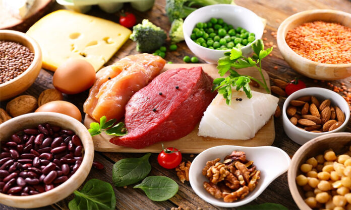 Protein food