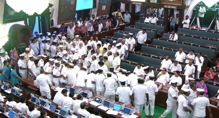 విజయ్ ‘మీసా’ వ్యాఖ్యలపై దుమారం